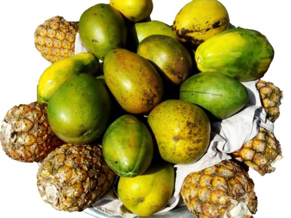 Fruit Basket