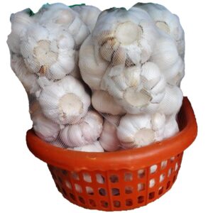 Fresh Garlic
