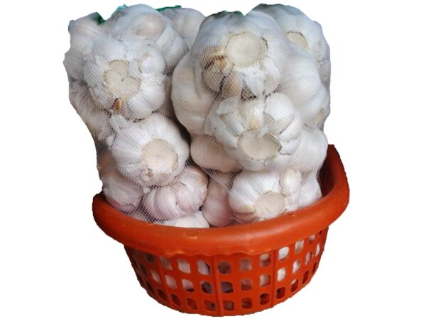 Fresh Garlic