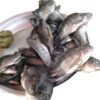 Fresh Tilapia - Image 2