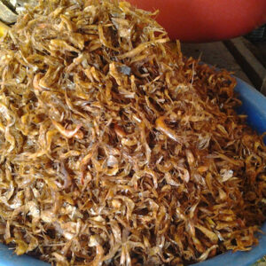 Dried Shrimps