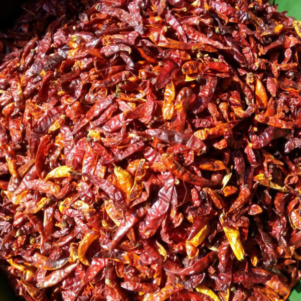 Dry Local Pepper