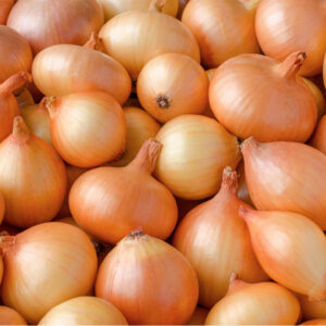 Exotic Organic Onions