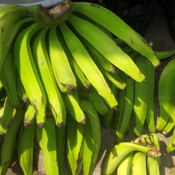 Unripe/Green Plantain