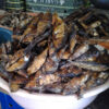 Smoked Herrings - Image 3