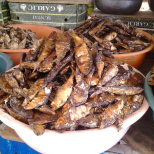 Smoked Herrings