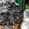 Koobi ( Dried Salted Tilapia) - Image 2