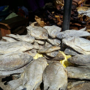 Koobi ( Dried Salted Tilapia)