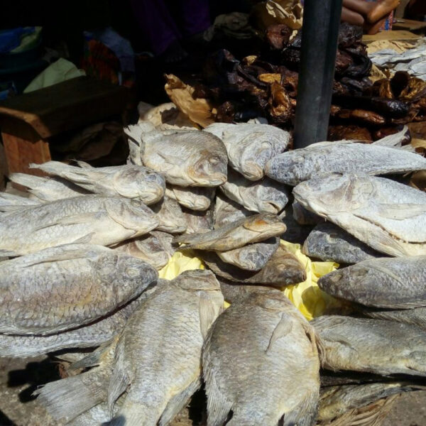 Koobi ( Dried Salted Tilapia)