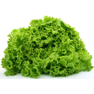Lettuce