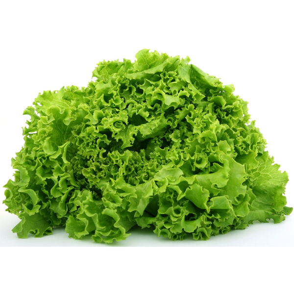 Lettuce