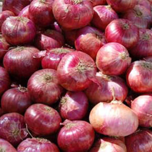 Local Organic Onions