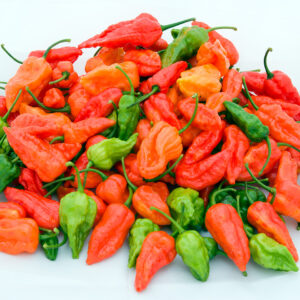 Fresh Green & Red Pepper