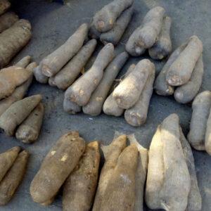 Yam
